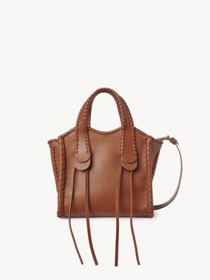 Bolso Tote Chloe Small Mony Marrones | CHE-SR13310