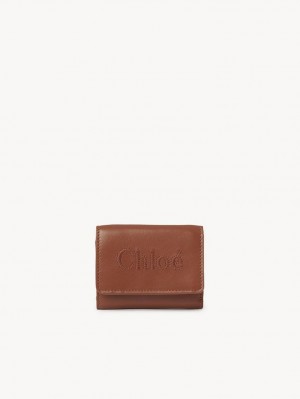 Carteras Pequeñas Chloe Sense Mini Tri-fold Marrones | CHE-SR14276