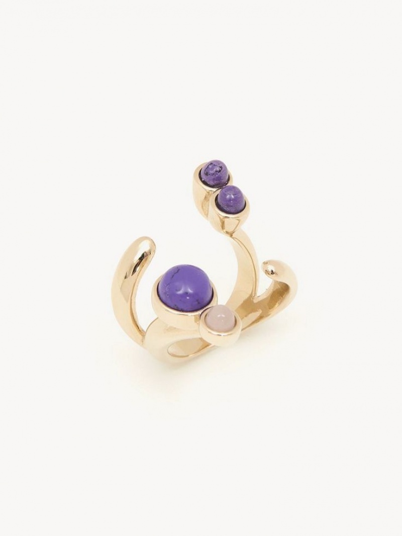 Anillos Chloe Zodiac Capricorn Multicolor | CHE-SR14371