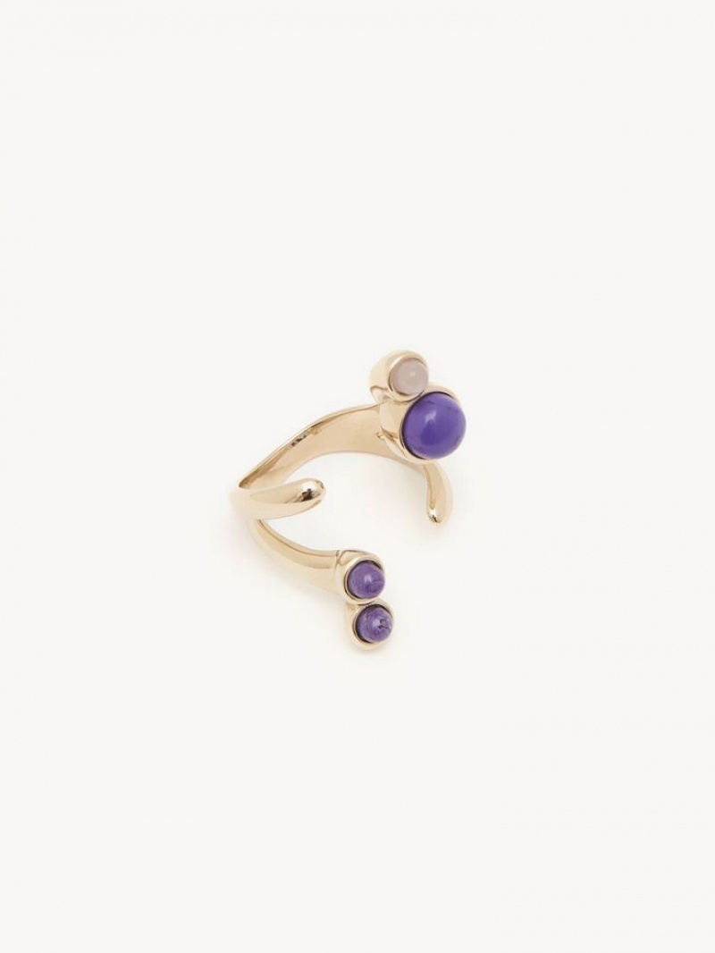 Anillos Chloe Zodiac Capricorn Multicolor | CHE-SR14371