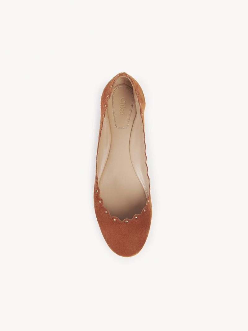 Ballet Flat Chloe Lauren Marrones | CHE-SR14254