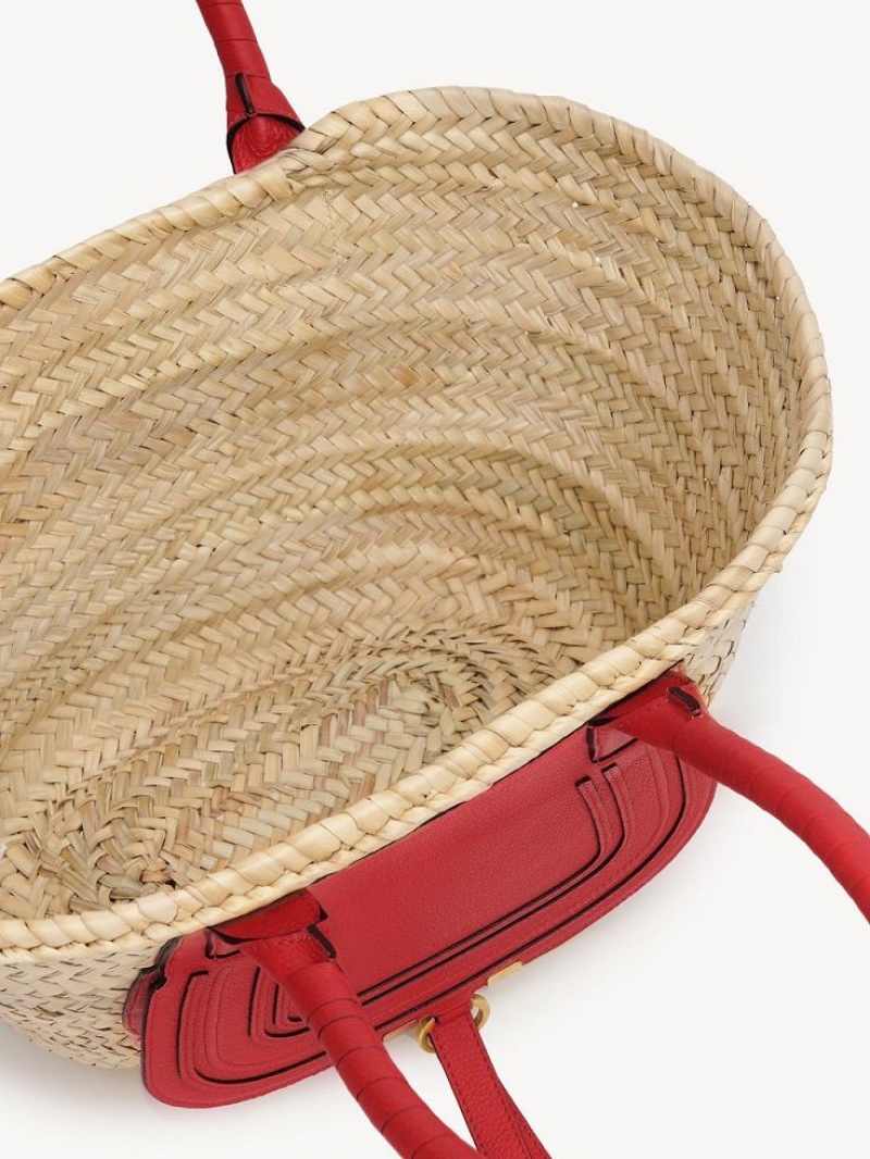 Baskets Chloe Medium Marcie Rojas | CHE-SR13634
