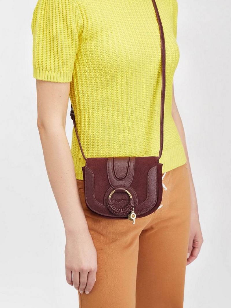 Bolsa De Hombro Chloe Hana Mini Marrones | CHE-SR14586