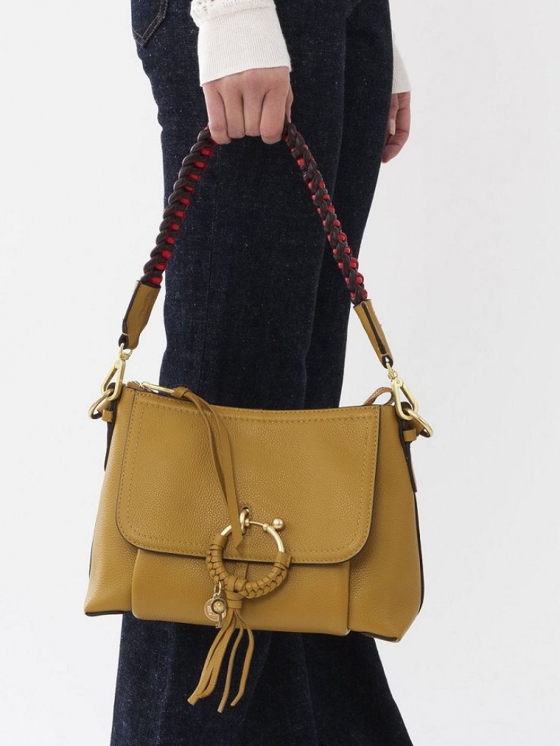 Bolsa De Hombro Chloe Joan Small Marrones | CHE-SR14648