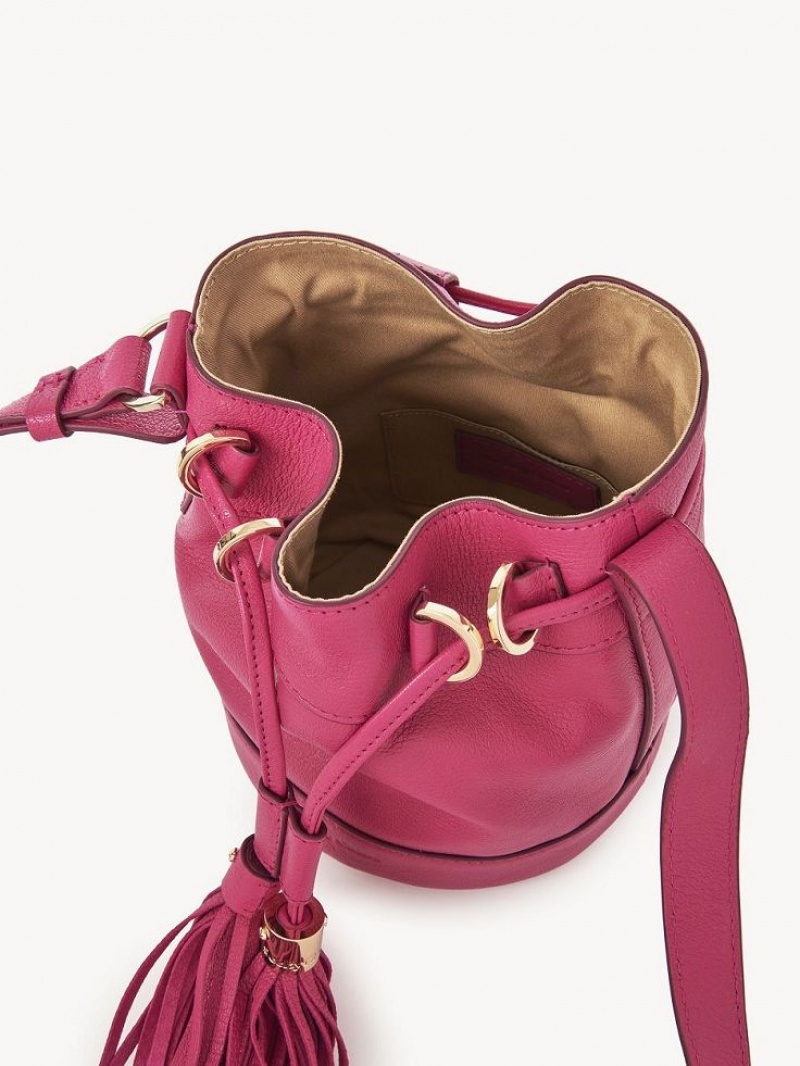 Bolsa De Hombro Chloe Vicki Small Bucket Rosas | CHE-SR14610