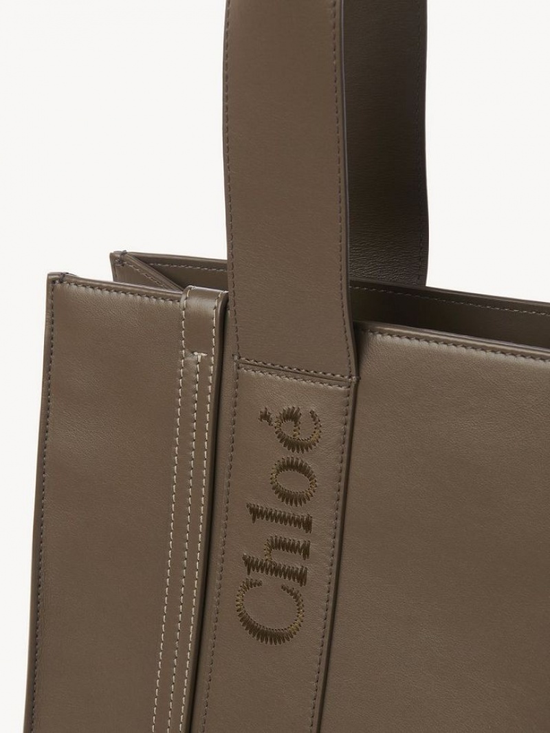 Bolso Tote Chloe Medium Woody Verde | CHE-SR13340