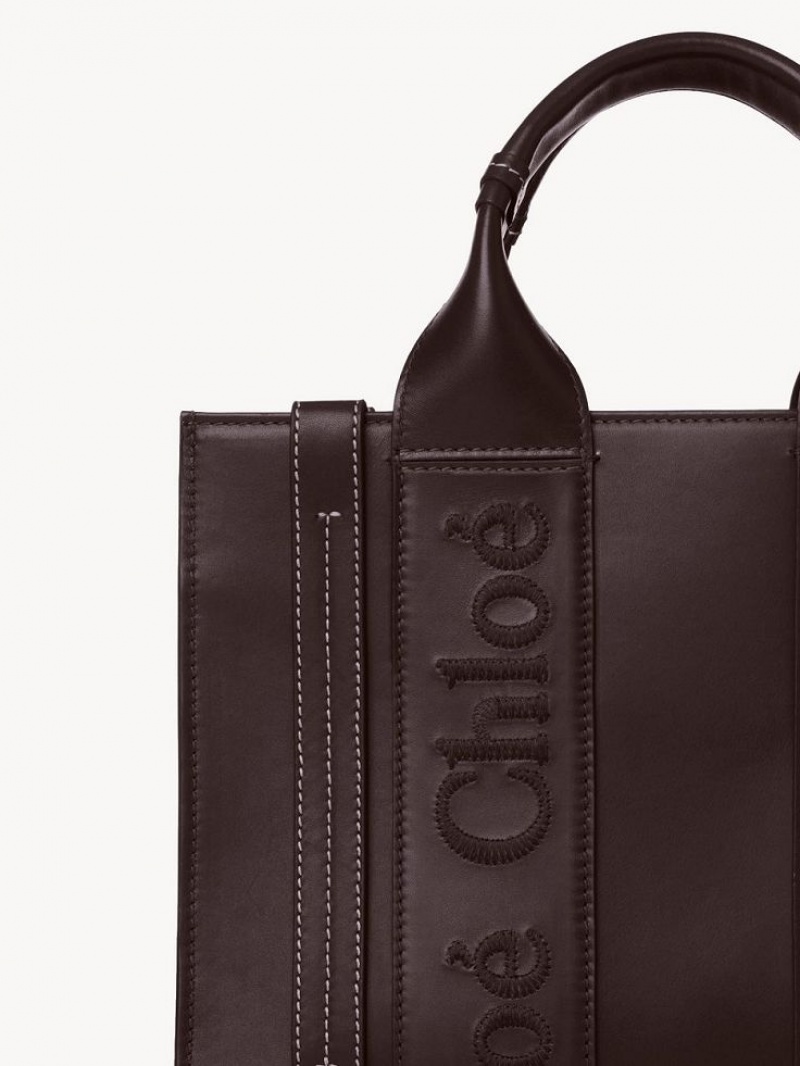 Bolso Tote Chloe Small Woody Verde Menta | CHE-SR13375