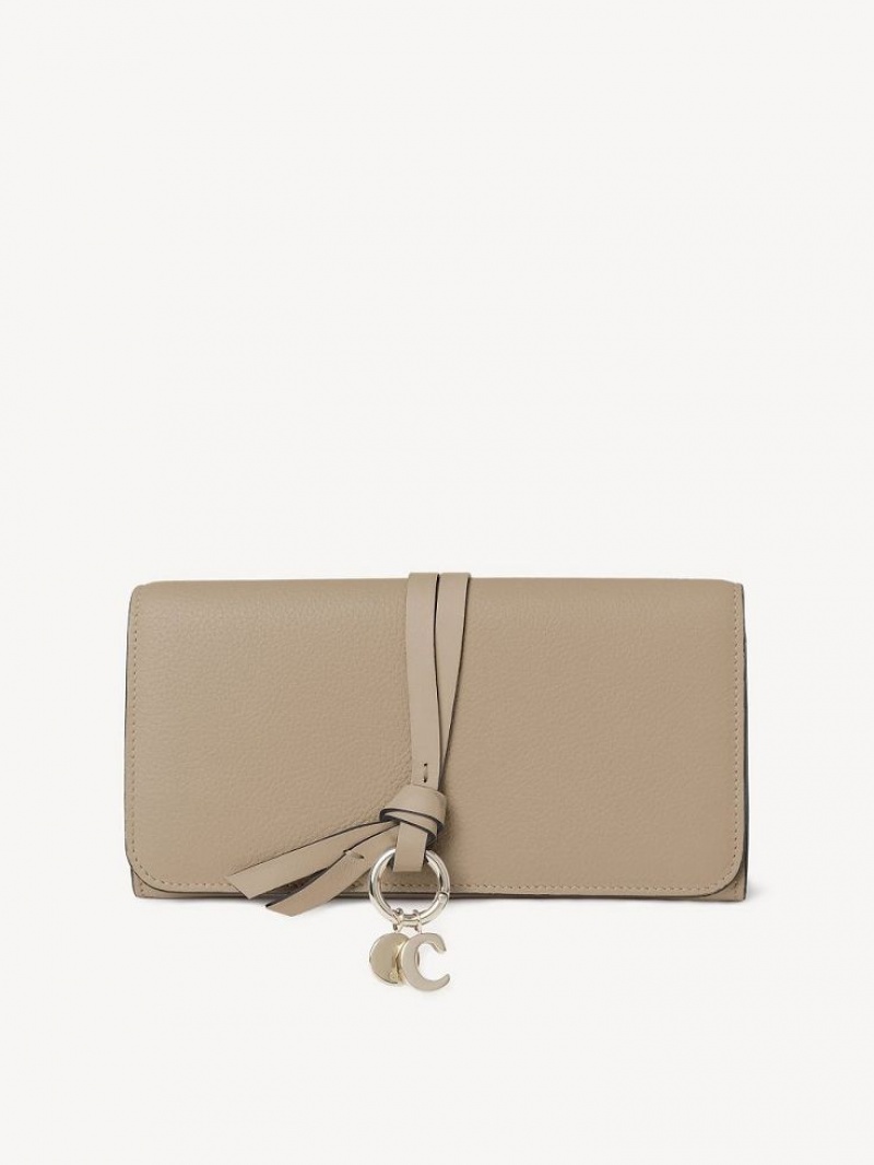 Carteras Grandes Chloe Alphabet With Flap Marrones | CHE-SR14306