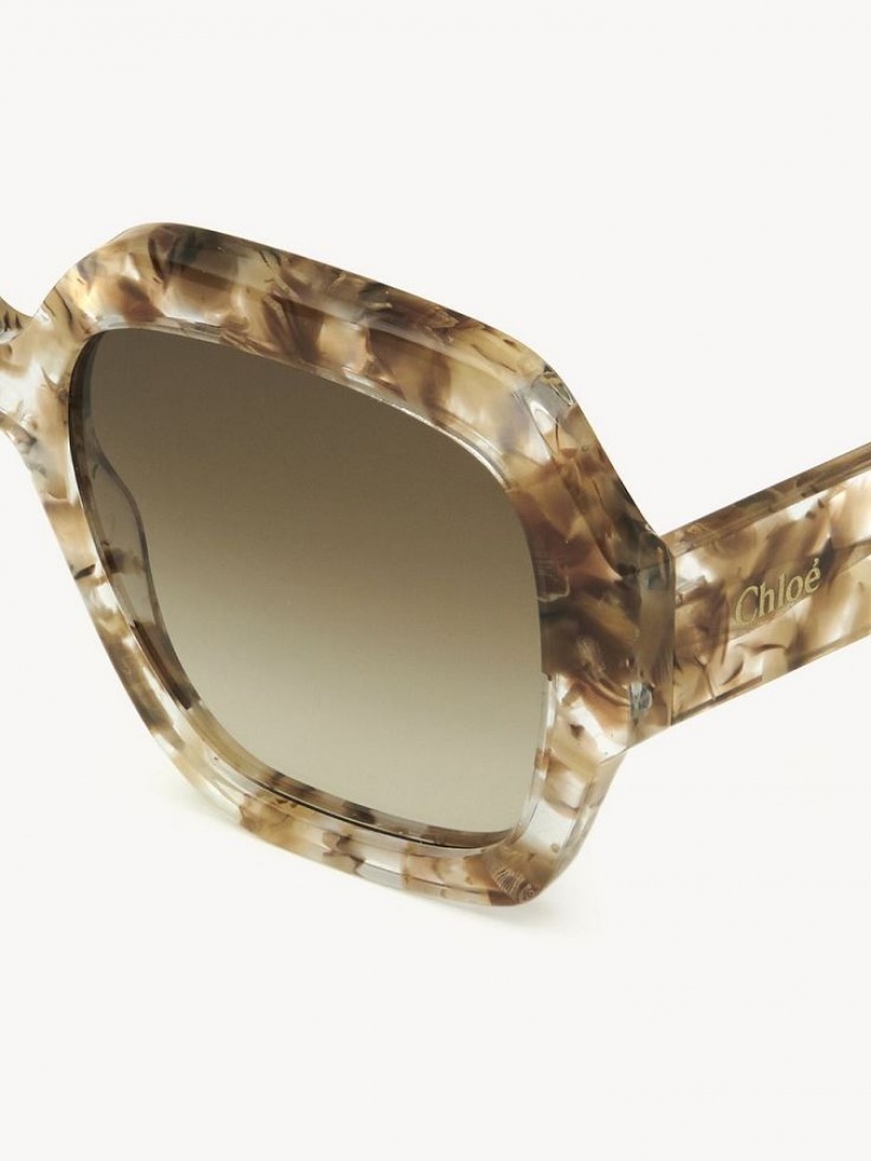 Gafas de Sol Chloe Gayia Marrones | CHE-SR14575