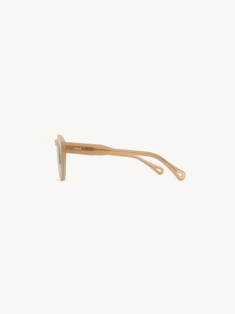 Gafas de Sol Chloe Xena Beige | CHE-SR14514