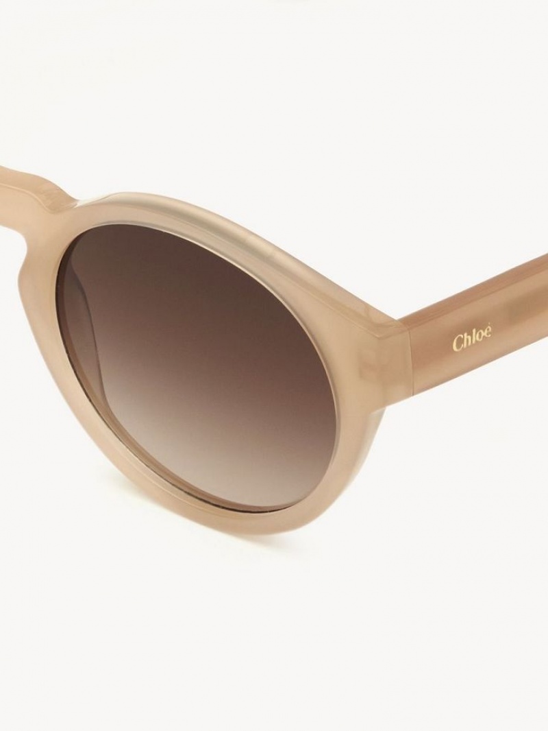 Gafas de Sol Chloe Xena Beige | CHE-SR14514