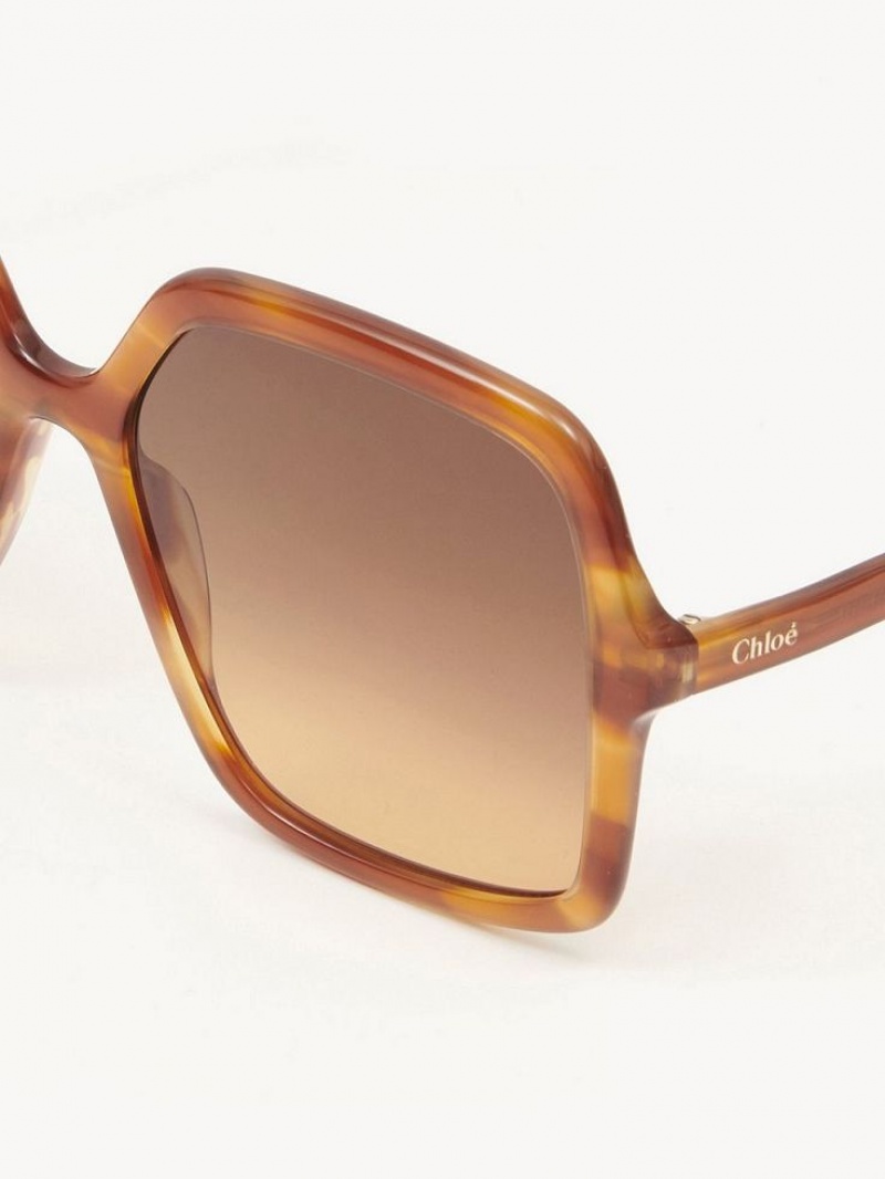 Gafas de Sol Chloe Zelie Verde Menta | CHE-SR14562