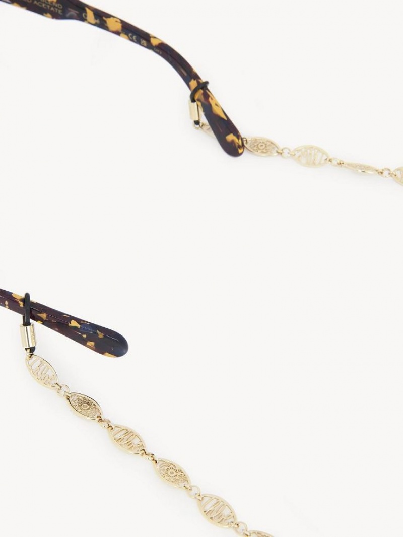 Pendientes Chloe Darcey Encaje Eyew Chain Doradas | CHE-SR14433