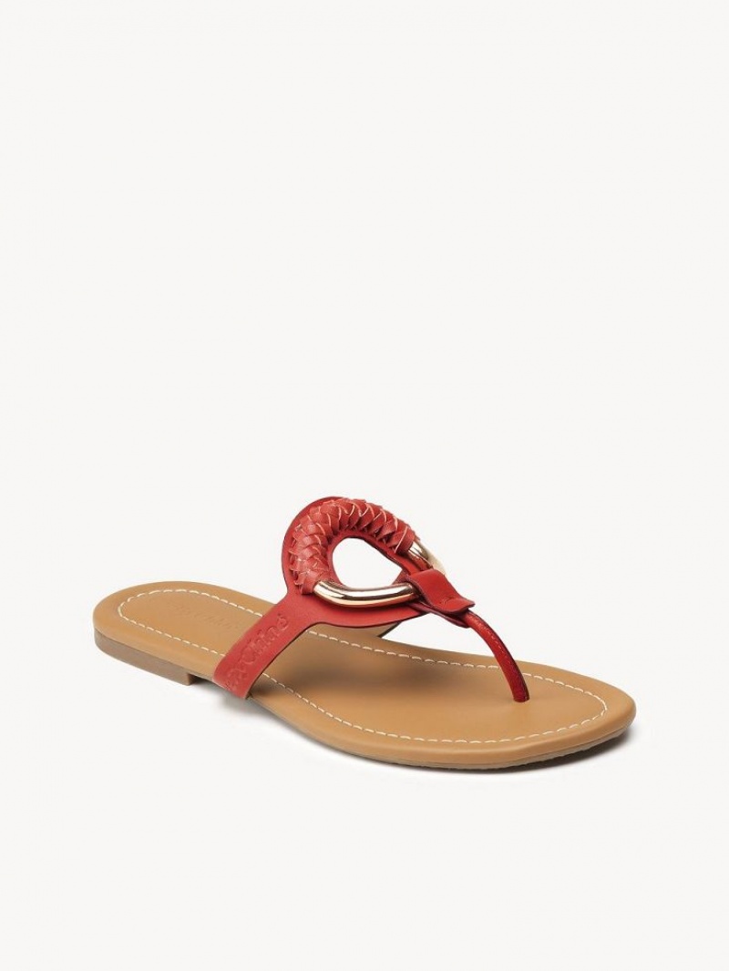 Zapatos Planos Chloe Hana Flip-flop Rojas | CHE-SR14817